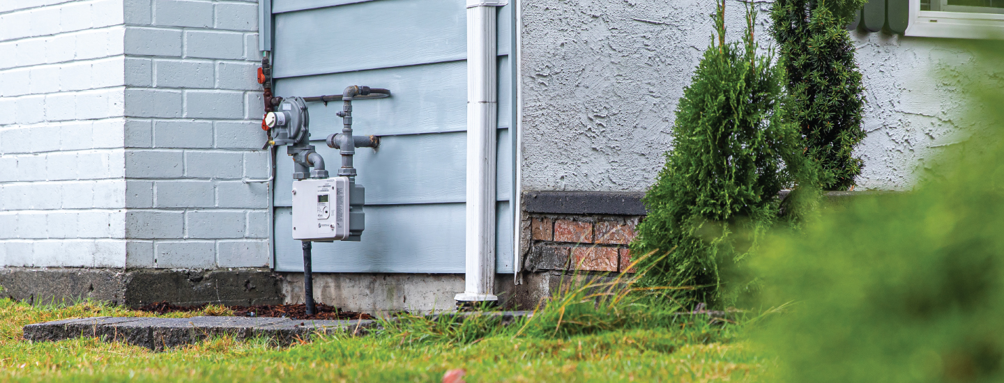 26-009-7-ami-web-images-summer