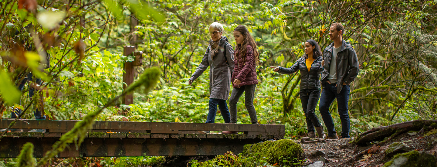 People walking in a forest on a trail. People walking in a forest on a trail.