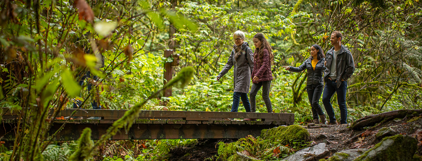 A family walking over a footbridge along a forest trail. (20-064.18) A family walking over a footbridge along a forest trail. (20-064.18)