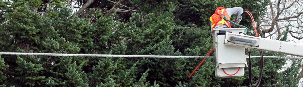 A worker in a bucket truck trimming trees near a powerline.