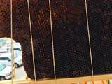 19-050.7_Bee-hive_blog_inline-image01