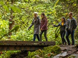 People walking across bridge in a forest.