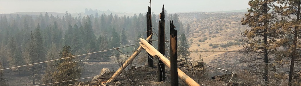 Nk’Mip Creek wildfire