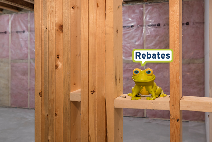 FortisBC rebates frog sitting on insulation