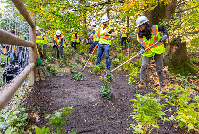 Stoney Creek Trail restoration in Burnaby, BC