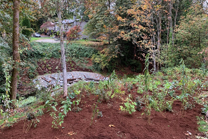 Restoration work complete with new shrubs and greenery