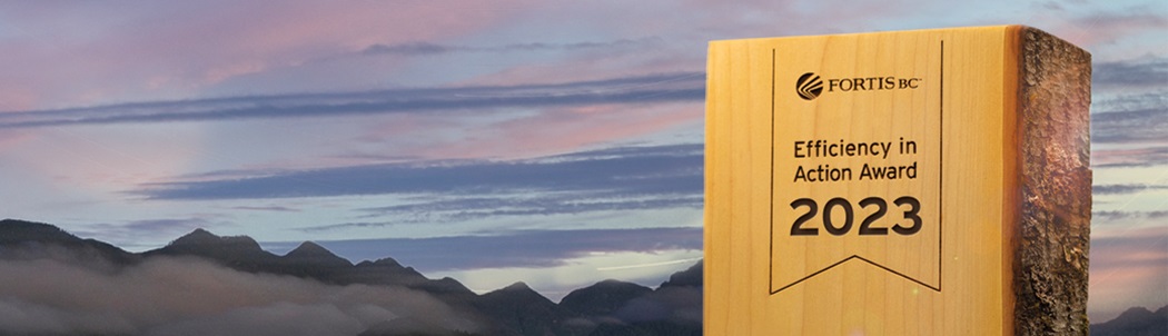 Wooden Efficiency in Action Award with a sunset and mountains in the background