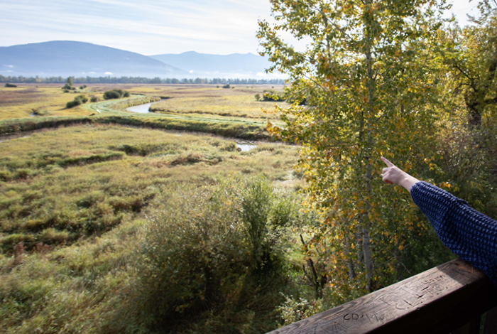 A person standing in a tall bird blind and pointing out a bird far in the distance.