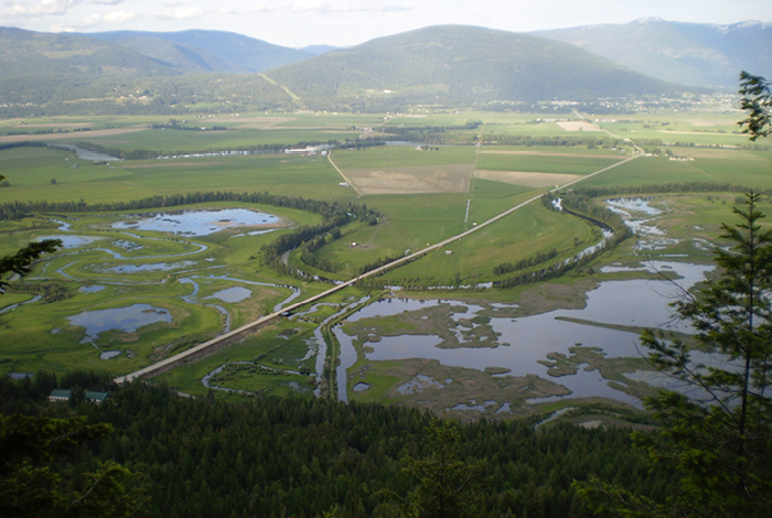 An arial view of wetlands with mountains in the distance.