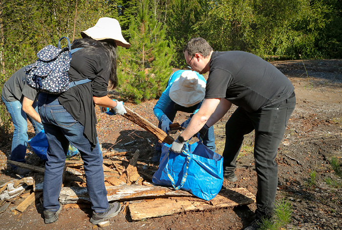 Volunteers gathering shoreline debris into a large bag