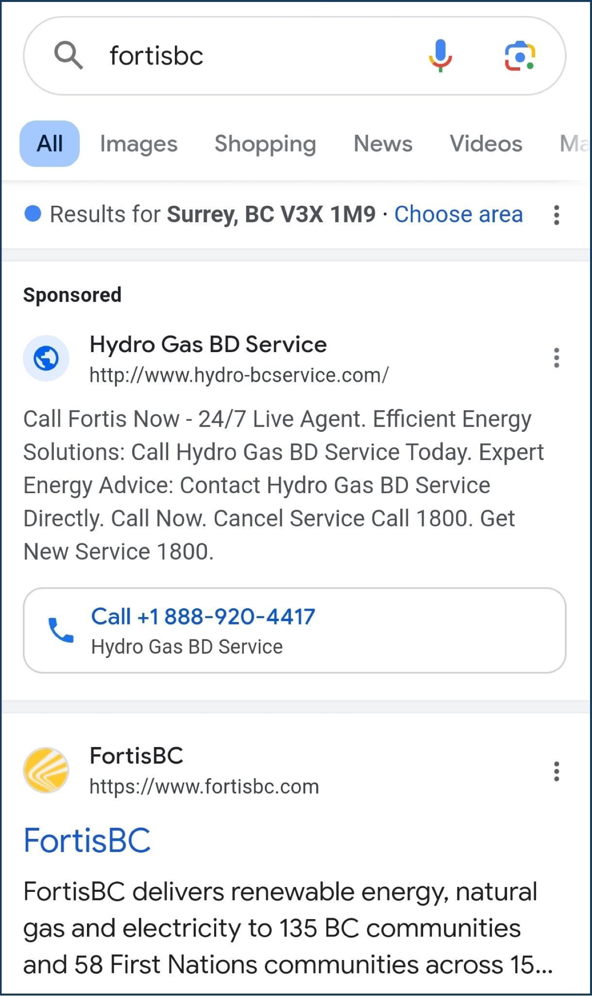 This is an example of how a fraudulent ad may appear on Google 