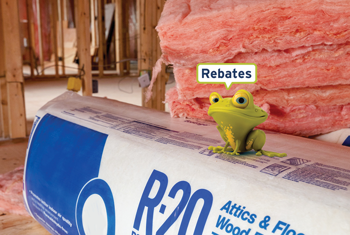 Rebates frog sitting in front of insulation