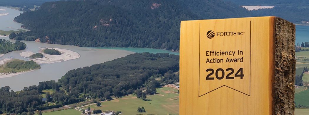 Wooden Efficiency in Action Award with a B.C. landscape photo in the background.