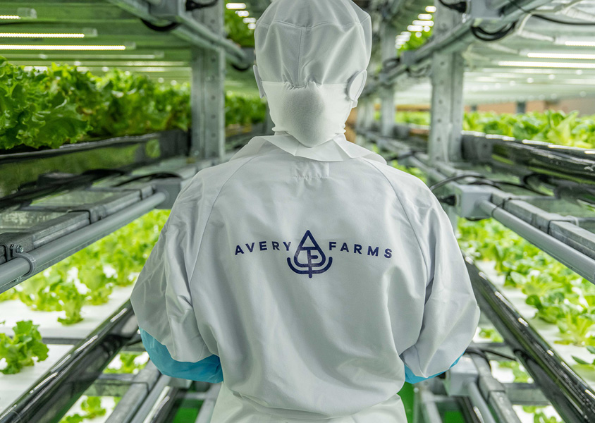 An Avery Farms employee looks over a vertical lettuce farm