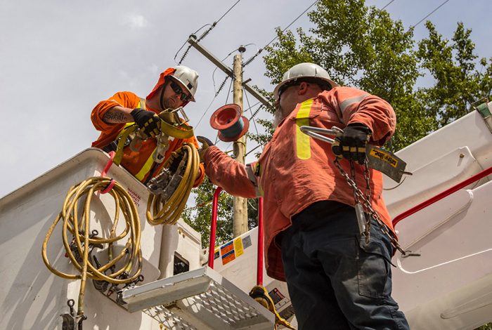 Two utility workers are preparing to inspect powerlines and remove debris near our infrastructure.