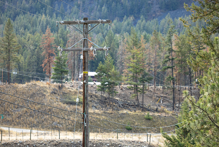 Wooden power pole with power lines in a forested area.