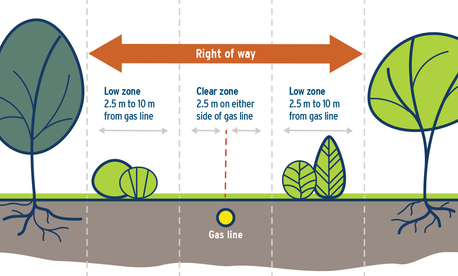 26-027-11-cbyd-blog-inline-7 Graphic showing where you can and can’t plant near a gas line.