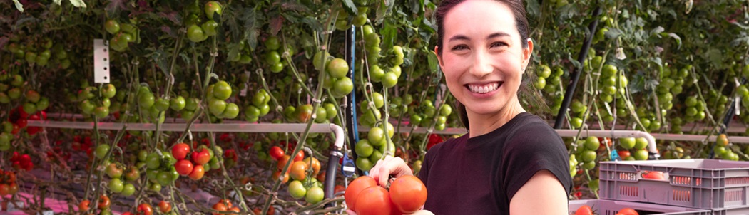 Corporate Communications Advisor Lauren Beckett poses proudly holding a cluster of red tomatoes at Windset Farms’ greenhouse facility in Delta, B.C.