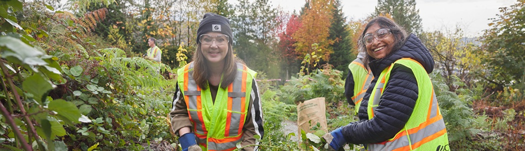 FortisBC employees removing invasive plants and upgrading the pathway at Bob Rutledge Park in Surrey.