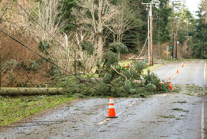 26-191-2-elecsafetyph2-blog-inlineimages-p1-2 A downed tree on the road.