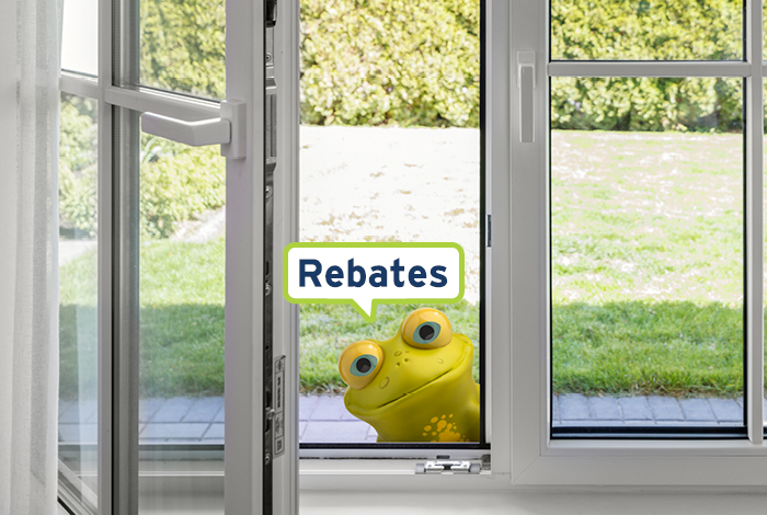 Rebates frog looking through open window 