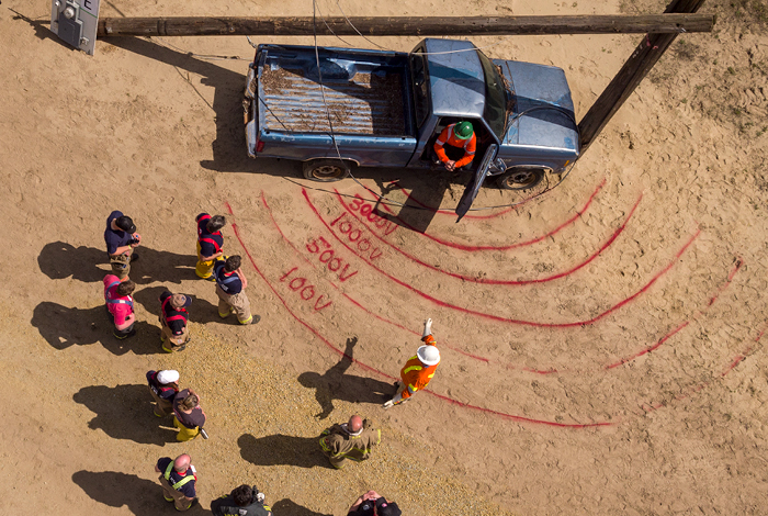 People standing near truck