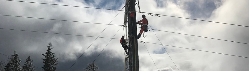 Crew working on powerline