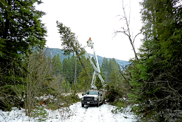 Crews working to remove compromised trees along a Kootenay side road.