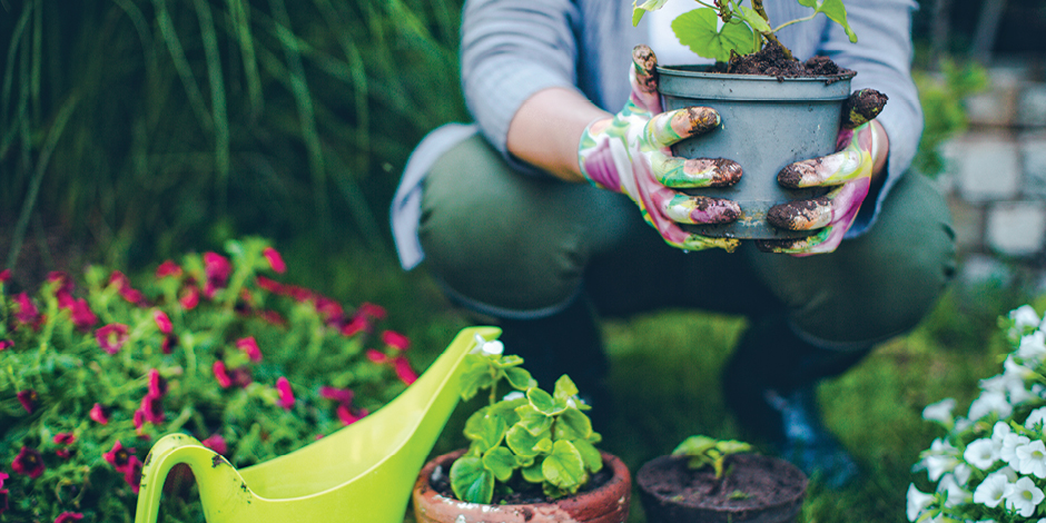 5-fresh-activities-to-do-while-you-are-staying-at-home-during-covid-19-garden Person gardening