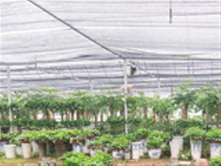 thumbnail image for rebate