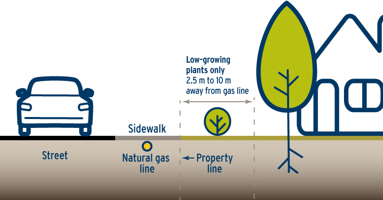 21-036.2_Tree_Plant_UtilityLine_StreetProfile-775x405