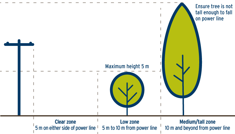 21-036.2_TreeTrimPlant_Diagram-775x772