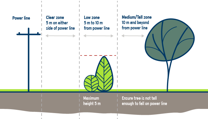 21-036.2_TreeTrimPlant_Diagram-775x772