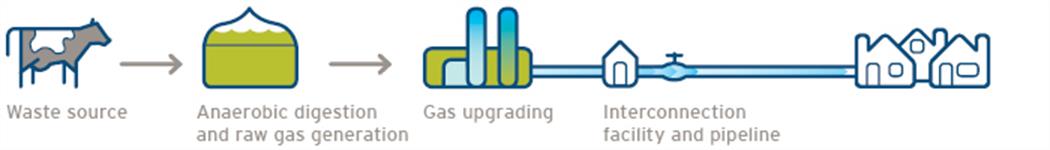 In this example, Renewable Natural Gas is created from a waste source such as cow manure. (18-150.6)
