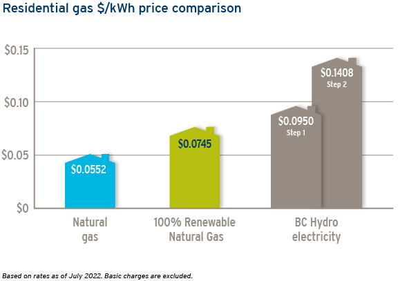 How Much Does Renewable Natural Gas Cost how-much-does-renewable-natural-gas-cost