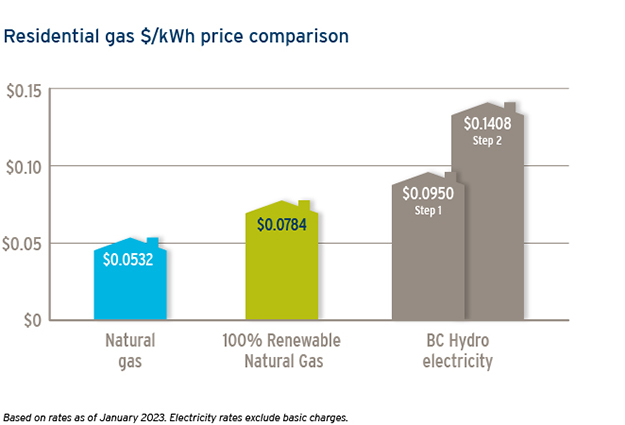 How much does Renewable Natural Gas cost