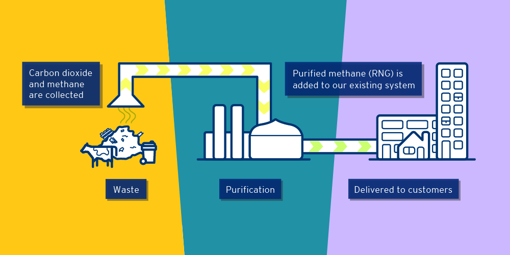 An illustration showing carbon dioxide and methane being collected from decomposing waste emissions. The methane is purified and then added to FortisBC’s existing gas system where it’s delivered to customers.