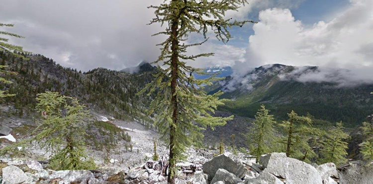 19,500 acres of rare inland temperate rainforest in the South Selkirk Mountains.